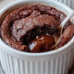 Ina Garten Chocolate Brownie Pudding Recipe